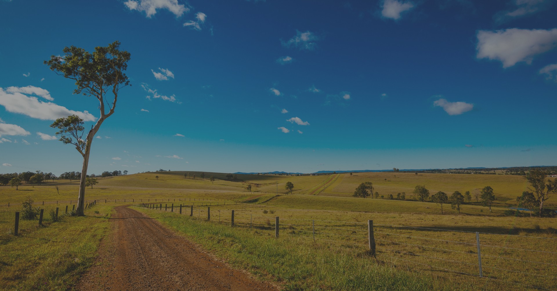 Dubbo Farming