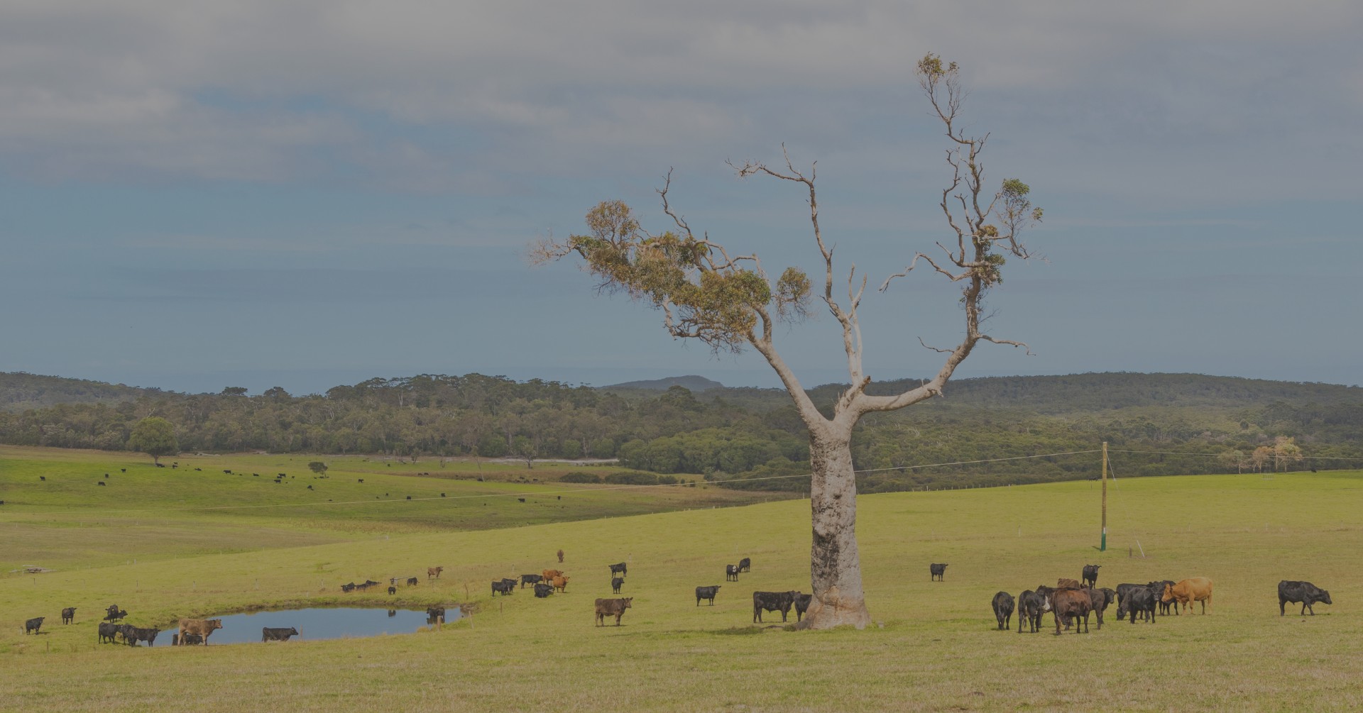 Farming Accountants